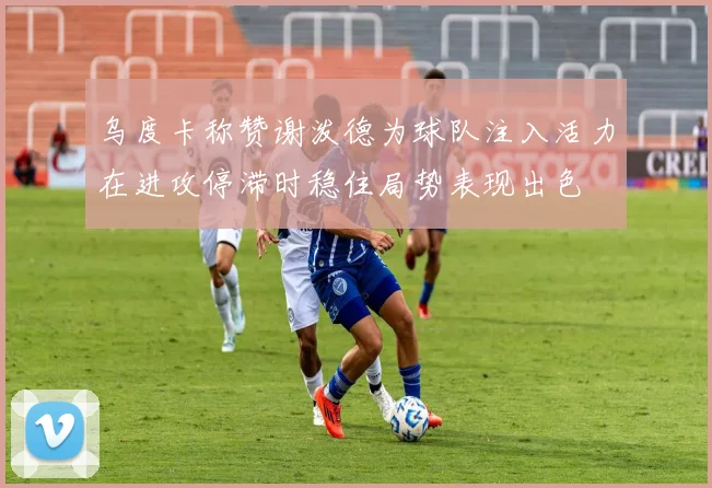 乌度卡称赞谢泼德为球队注入活力在进攻停滞时稳住局势表现出色