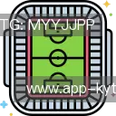 解读开云体育APP