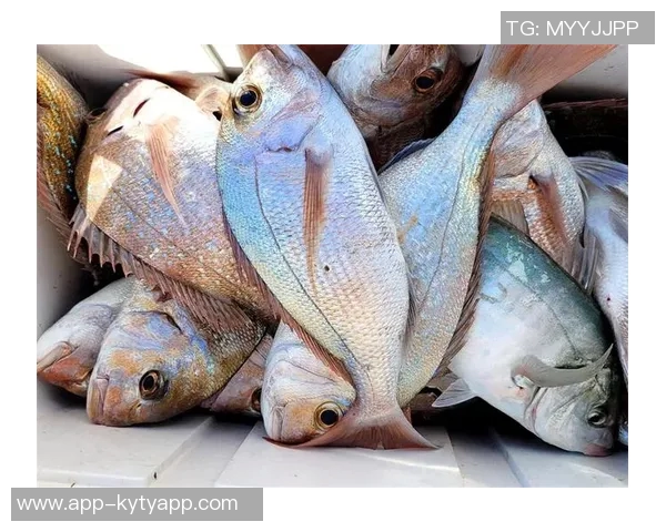 拉什福德分享海钓乐趣笑容灿烂展现多彩业余生活